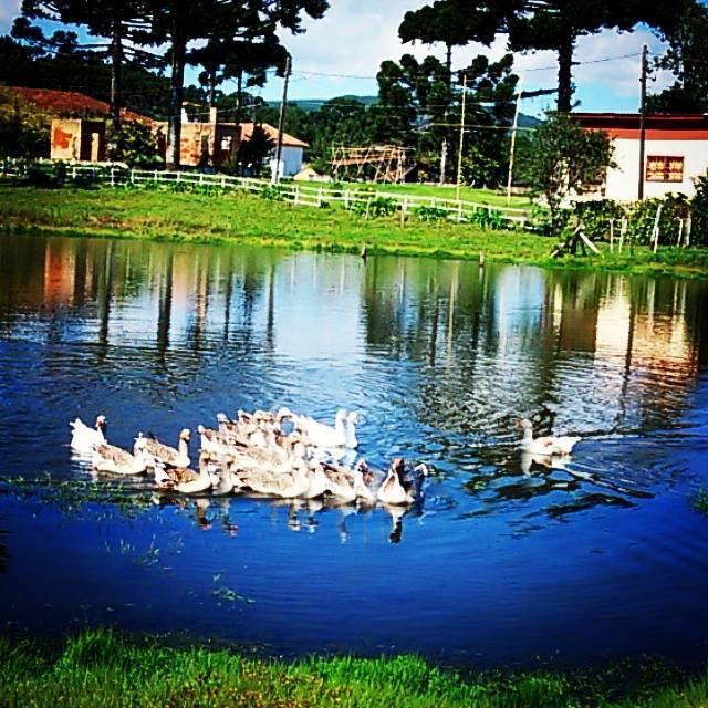 Refugio Do Lago Hotel Lages Exterior photo